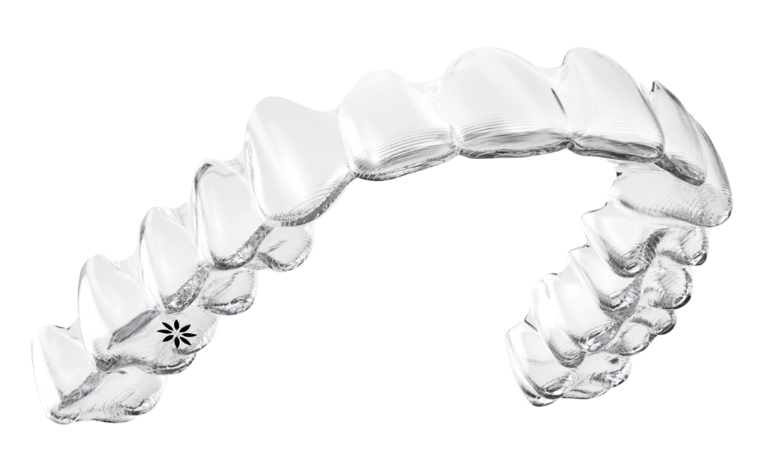 aligners